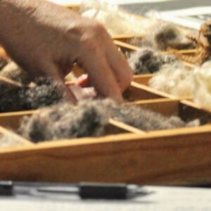 Intro to Fiber and Wool