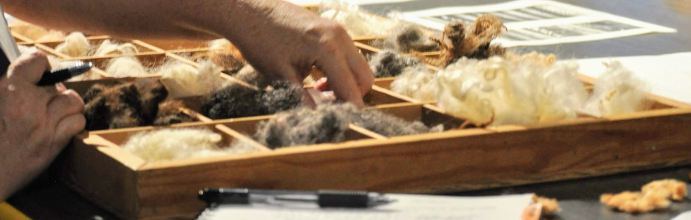 Intro to Fiber and Wool